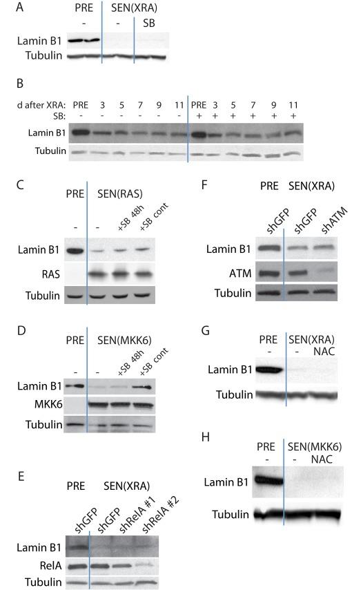 https://cdn.ncbi.nlm.nih.gov/pmc/blobs/6301/3364172/ea82cb0f388e/2066fig2.jpg