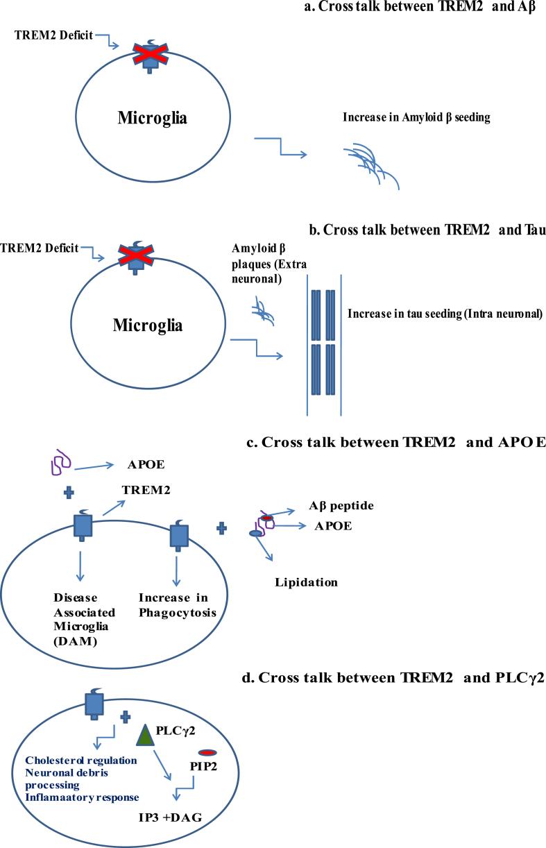 https://cdn.ncbi.nlm.nih.gov/pmc/blobs/6306/10473115/ce52e2b54fa2/jad-94-jad221070-g003.jpg