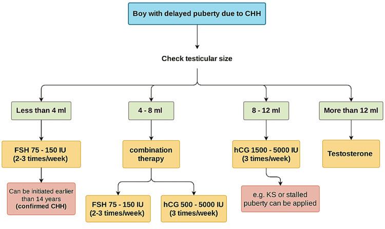 https://cdn.ncbi.nlm.nih.gov/pmc/blobs/6306/9073269/88594f1c24c9/cureus-0014-00000023864-i03.jpg