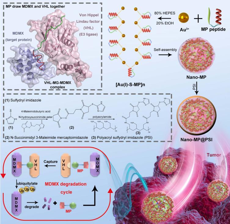 https://cdn.ncbi.nlm.nih.gov/pmc/blobs/6307/11180470/ce1ed61d1d07/IJN-19-5739-g0003.jpg