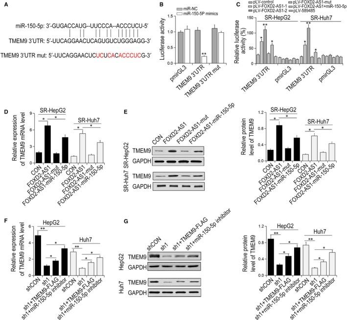 https://cdn.ncbi.nlm.nih.gov/pmc/blobs/630b/6714507/704a9bb03529/JCMM-23-6024-g004.jpg