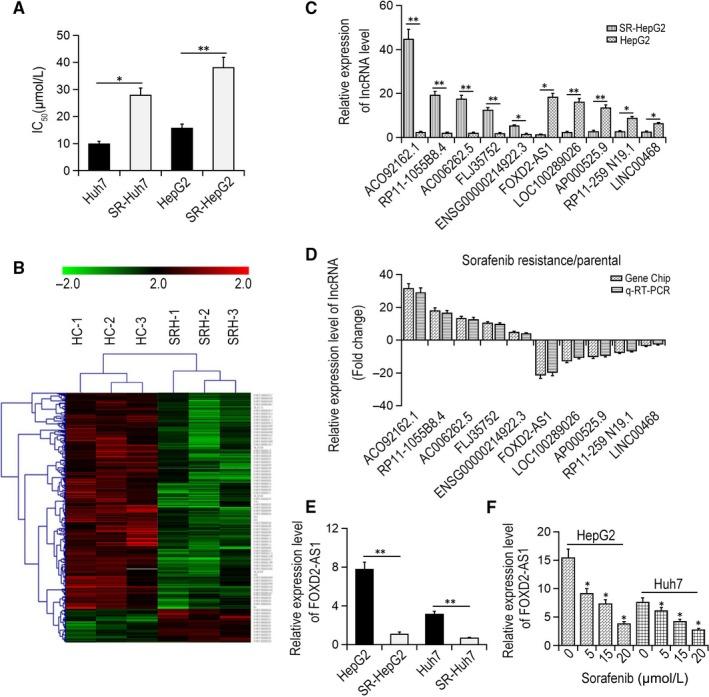 https://cdn.ncbi.nlm.nih.gov/pmc/blobs/630b/6714507/74893562fca4/JCMM-23-6024-g001.jpg