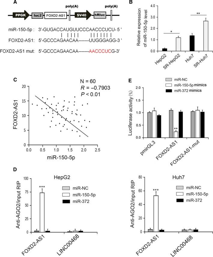 https://cdn.ncbi.nlm.nih.gov/pmc/blobs/630b/6714507/7ce633d20735/JCMM-23-6024-g002.jpg
