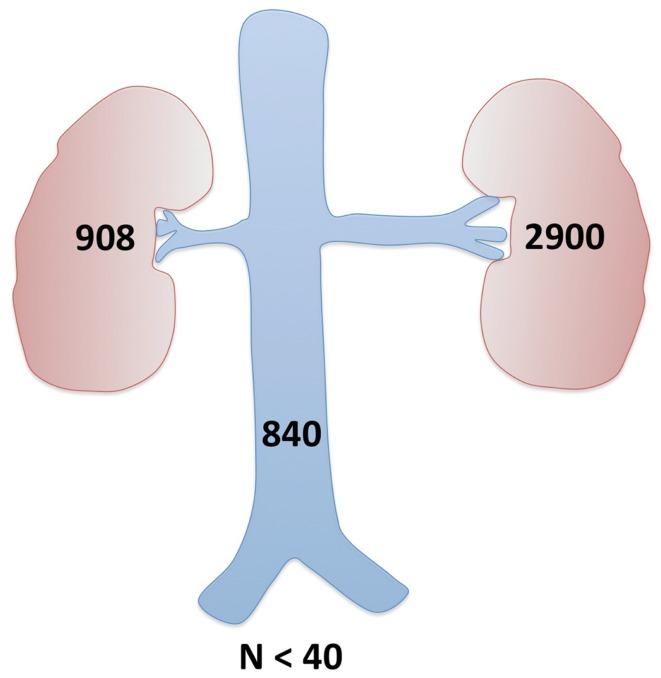 https://cdn.ncbi.nlm.nih.gov/pmc/blobs/630c/4133731/5c534a7e9c80/fped-02-00089-g002.jpg