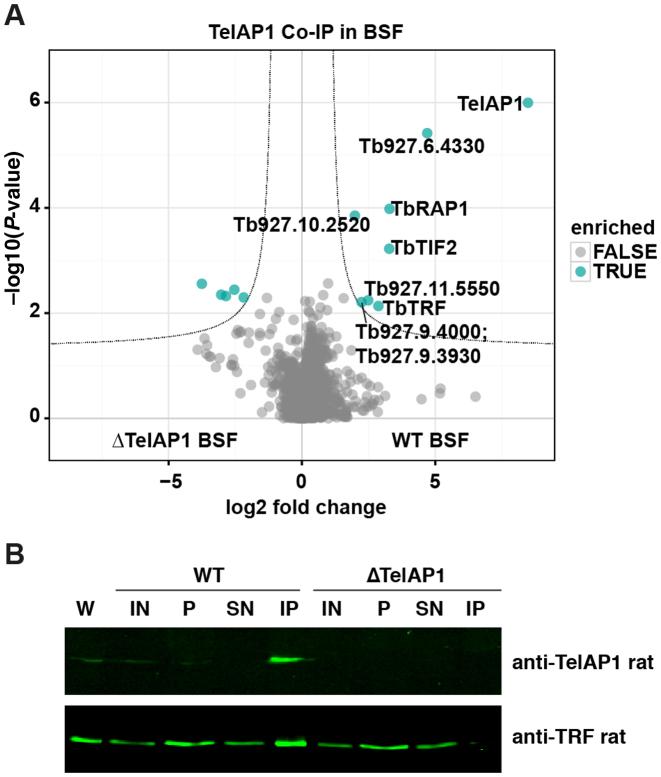 https://cdn.ncbi.nlm.nih.gov/pmc/blobs/630d/5888660/4845a1b8e821/gky028fig3.jpg
