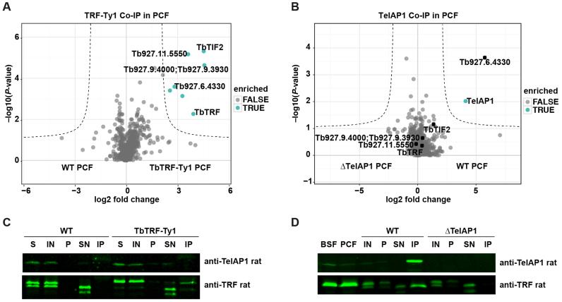 https://cdn.ncbi.nlm.nih.gov/pmc/blobs/630d/5888660/63395c0f84b0/gky028fig6.jpg