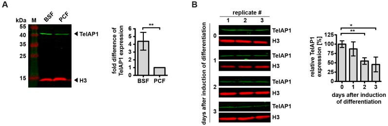 https://cdn.ncbi.nlm.nih.gov/pmc/blobs/630d/5888660/70c4630cd289/gky028fig5.jpg