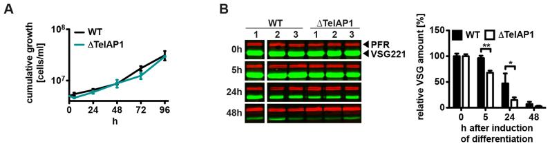 https://cdn.ncbi.nlm.nih.gov/pmc/blobs/630d/5888660/c261bb9eaeb1/gky028fig7.jpg