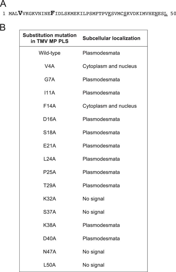https://cdn.ncbi.nlm.nih.gov/pmc/blobs/6310/4725018/949a5de428d0/mbo0011626340004.jpg