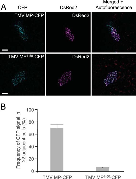 https://cdn.ncbi.nlm.nih.gov/pmc/blobs/6310/4725018/dcee89c14d83/mbo0011626340007.jpg