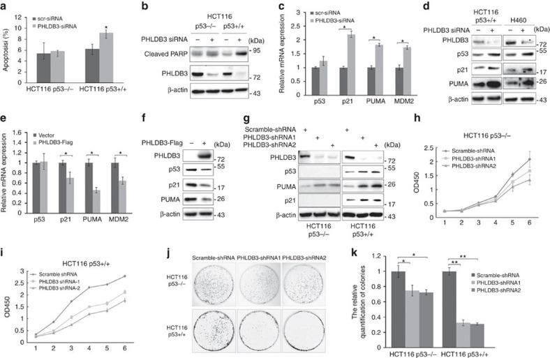 https://cdn.ncbi.nlm.nih.gov/pmc/blobs/6311/5196188/185211d93d8f/ncomms13755-f4.jpg
