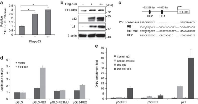 https://cdn.ncbi.nlm.nih.gov/pmc/blobs/6311/5196188/783ebea14ff9/ncomms13755-f2.jpg