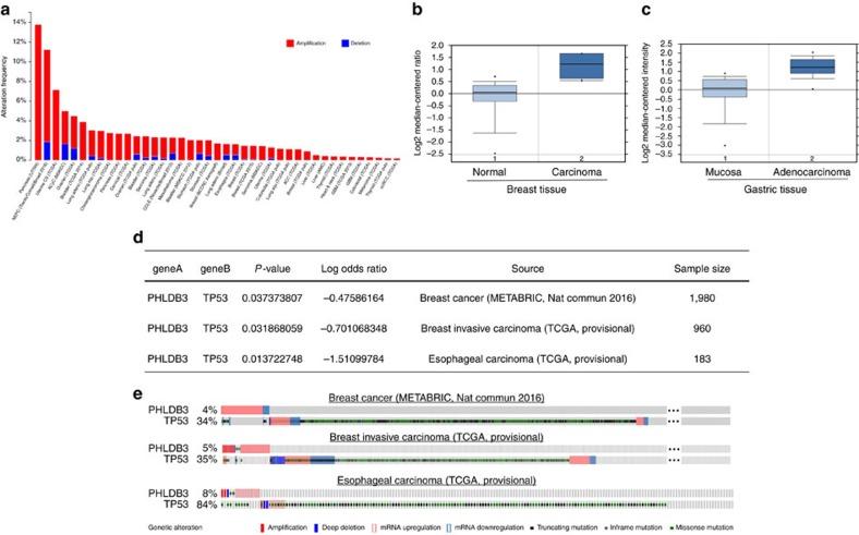 https://cdn.ncbi.nlm.nih.gov/pmc/blobs/6311/5196188/d2649ba9254a/ncomms13755-f3.jpg