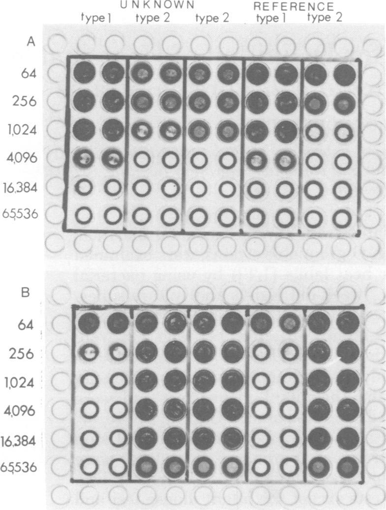 https://cdn.ncbi.nlm.nih.gov/pmc/blobs/6313/273305/279c131f8fb2/jcm00174-0035-a.jpg