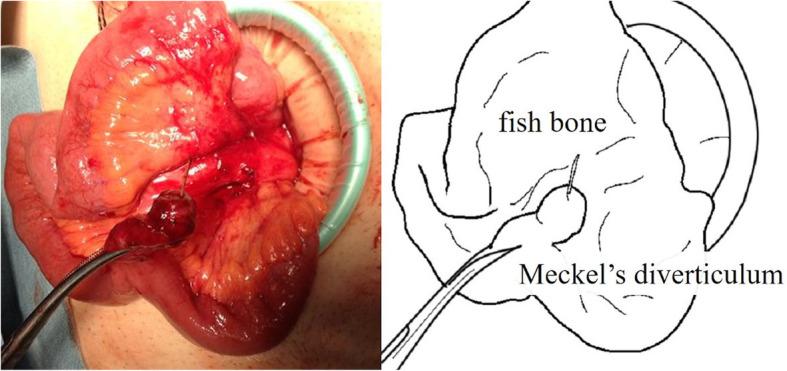https://cdn.ncbi.nlm.nih.gov/pmc/blobs/6315/7275410/aa1adfeb81dd/12893_2020_783_Fig2_HTML.jpg