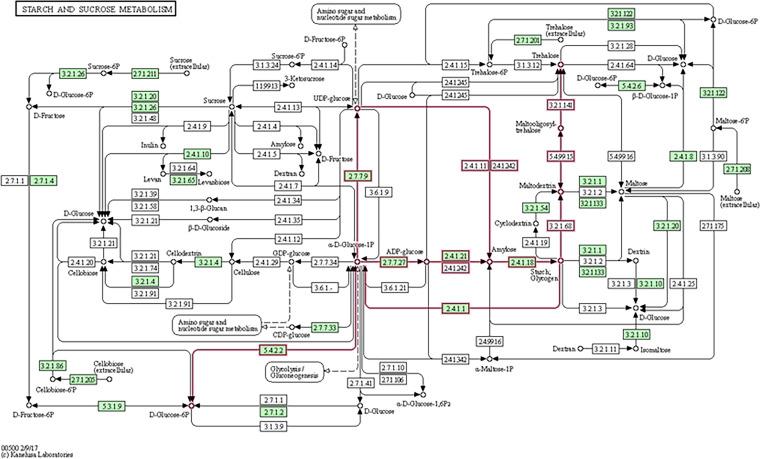 https://cdn.ncbi.nlm.nih.gov/pmc/blobs/6316/9431708/63adcfb63822/spectrum.01078-22-f006.jpg