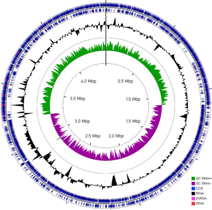 https://cdn.ncbi.nlm.nih.gov/pmc/blobs/6316/9431708/fb2ceafb5ddb/spectrum.01078-22-f001.jpg