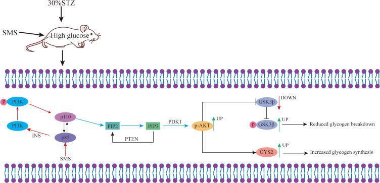 https://cdn.ncbi.nlm.nih.gov/pmc/blobs/6318/11972573/5a8b9928a039/DMSO-18-985-g0012.jpg