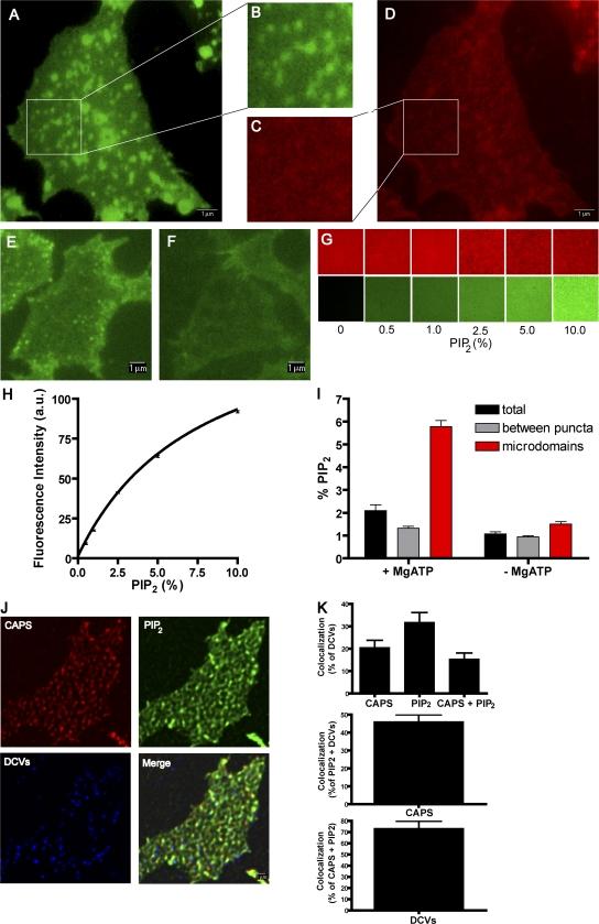 https://cdn.ncbi.nlm.nih.gov/pmc/blobs/631a/2483516/0a2af7ad2dd2/jcb1820355f01.jpg