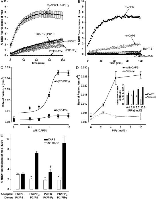 https://cdn.ncbi.nlm.nih.gov/pmc/blobs/631a/2483516/f0f19e046946/jcb1820355f03.jpg