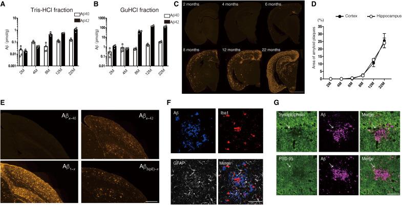 https://cdn.ncbi.nlm.nih.gov/pmc/blobs/631a/9177067/44b04f16e266/sciadv.abm6155-f2.jpg