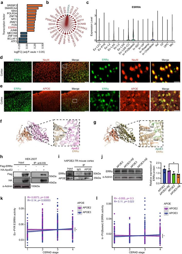 https://cdn.ncbi.nlm.nih.gov/pmc/blobs/631c/11170814/f4b83ebbdfff/11658_2024_600_Fig4_HTML.jpg