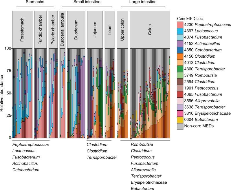 https://cdn.ncbi.nlm.nih.gov/pmc/blobs/631c/7031289/10644113cf04/41396_2019_549_Fig2_HTML.jpg