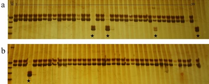 https://cdn.ncbi.nlm.nih.gov/pmc/blobs/631c/9918507/a5244683528b/41598_2023_29514_Fig3_HTML.jpg
