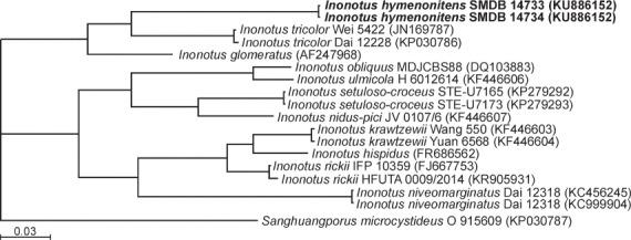 https://cdn.ncbi.nlm.nih.gov/pmc/blobs/631d/5315290/1d1d23811273/per-37-218-i006.jpg