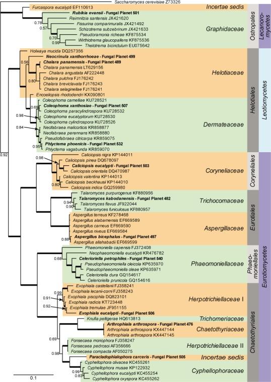 https://cdn.ncbi.nlm.nih.gov/pmc/blobs/631d/5315290/8febfb03d172/per-37-218-g002.jpg