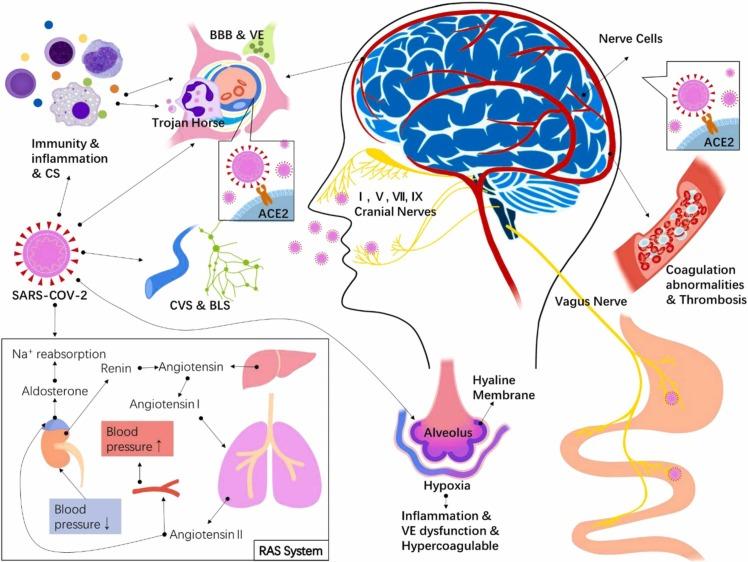 https://cdn.ncbi.nlm.nih.gov/pmc/blobs/6320/9236920/5aca8aa8fb5c/gr1_lrg.jpg