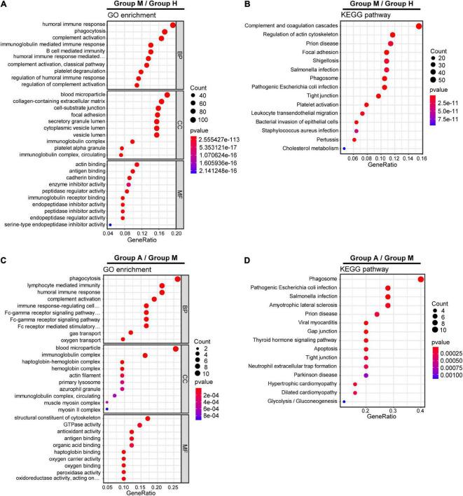 https://cdn.ncbi.nlm.nih.gov/pmc/blobs/6320/9557737/06cec4ebc09d/fnins-16-1013328-g002.jpg