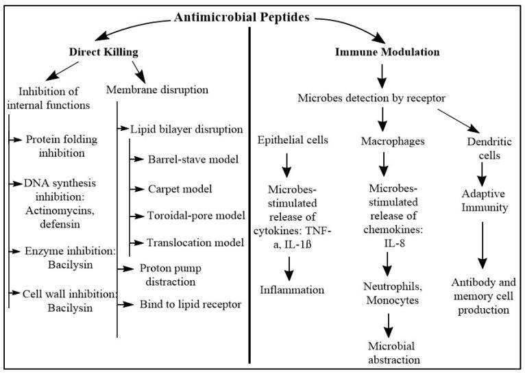 https://cdn.ncbi.nlm.nih.gov/pmc/blobs/6321/11728462/b615a3782058/pharmaceutics-16-01542-g003.jpg