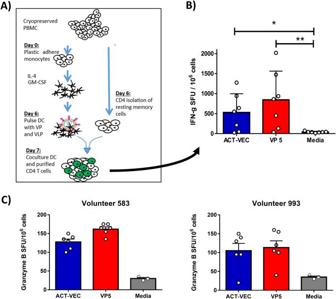https://cdn.ncbi.nlm.nih.gov/pmc/blobs/6322/5775397/b4cd01b6210d/41541_2017_40_Fig5_HTML.jpg