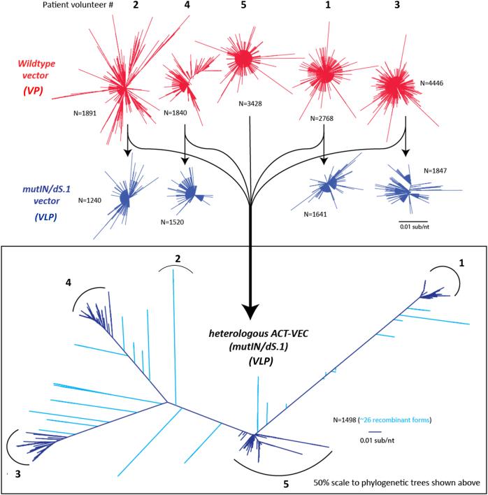 https://cdn.ncbi.nlm.nih.gov/pmc/blobs/6322/5775397/d26fcedf5649/41541_2017_40_Fig2_HTML.jpg