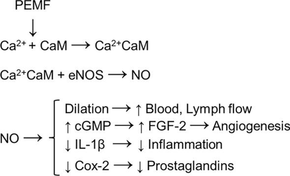 https://cdn.ncbi.nlm.nih.gov/pmc/blobs/6323/11914662/a244f771f53a/40122_2025_711_Fig1_HTML.jpg