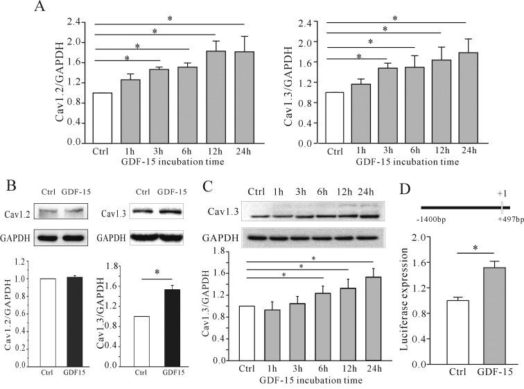 https://cdn.ncbi.nlm.nih.gov/pmc/blobs/6325/4925162/c540f8a8bd5b/bj4731895fig5.jpg