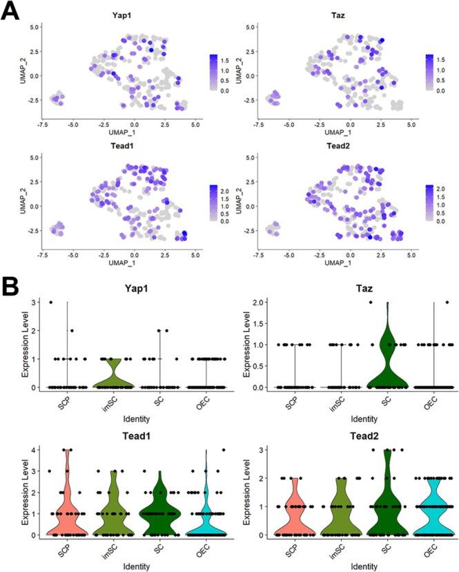 https://cdn.ncbi.nlm.nih.gov/pmc/blobs/6327/12334863/124c958d5e96/GLIA-73-2077-g009.jpg