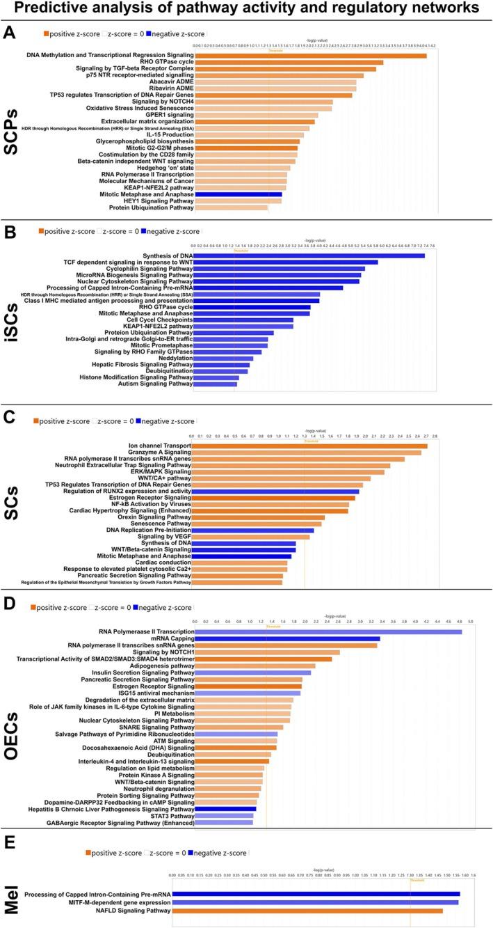 https://cdn.ncbi.nlm.nih.gov/pmc/blobs/6327/12334863/2b0462e061a3/GLIA-73-2077-g002.jpg