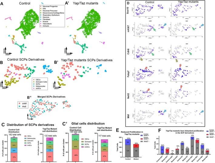 https://cdn.ncbi.nlm.nih.gov/pmc/blobs/6327/12334863/3524569a88ab/GLIA-73-2077-g012.jpg
