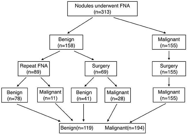 https://cdn.ncbi.nlm.nih.gov/pmc/blobs/6328/5522156/caefc6e1a87c/oncotarget-08-43406-g001.jpg