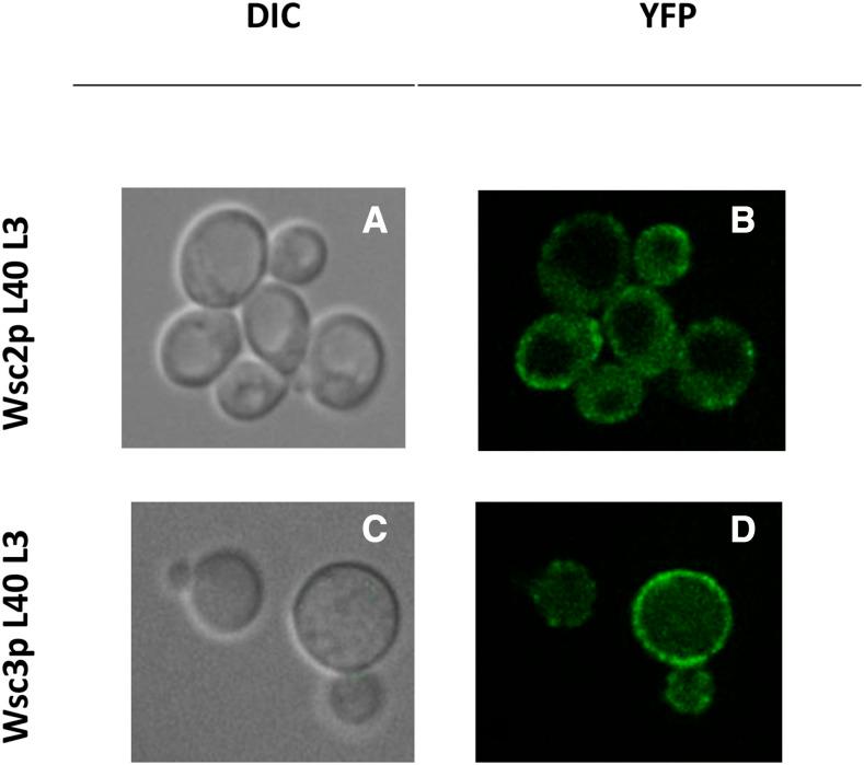 https://cdn.ncbi.nlm.nih.gov/pmc/blobs/6328/7466973/042324aba4ae/3121f1.jpg