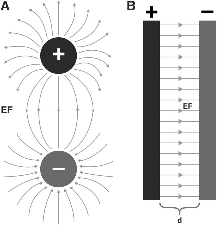 https://cdn.ncbi.nlm.nih.gov/pmc/blobs/6329/10858648/0c4e5412d6d0/ieae007_fig1.jpg
