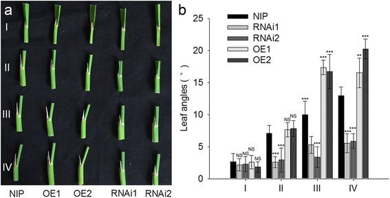 https://cdn.ncbi.nlm.nih.gov/pmc/blobs/6329/5519514/c93e93dbc4cf/12284_2017_171_Fig5_HTML.jpg