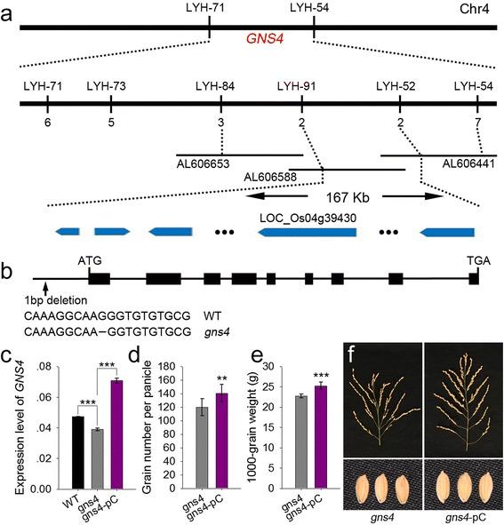 https://cdn.ncbi.nlm.nih.gov/pmc/blobs/6329/5519514/f3e590319fc5/12284_2017_171_Fig2_HTML.jpg