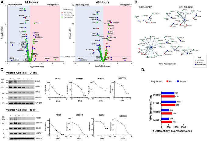 https://cdn.ncbi.nlm.nih.gov/pmc/blobs/632d/11296636/8f23b9547850/pone.0307154.g002.jpg