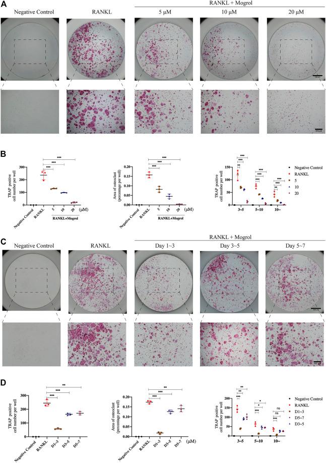 https://cdn.ncbi.nlm.nih.gov/pmc/blobs/632d/9038946/9bd74d9d470a/fphar-13-803880-g002.jpg