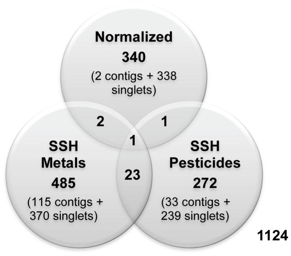 https://cdn.ncbi.nlm.nih.gov/pmc/blobs/632e/3338728/6078f78d02d8/pone.0034266.g003.jpg
