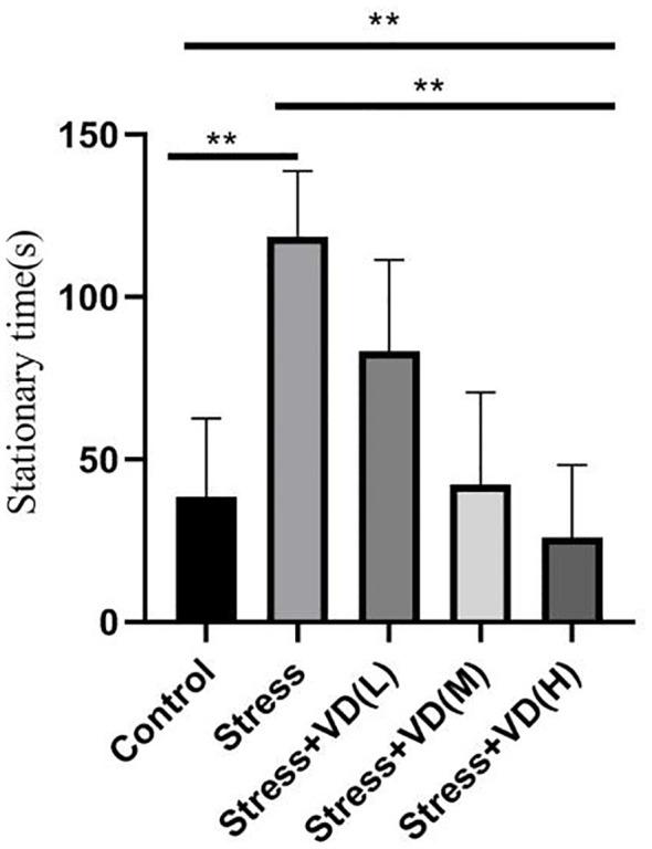 https://cdn.ncbi.nlm.nih.gov/pmc/blobs/632f/11317463/a77ea7579963/fpsyt-15-1425681-g003.jpg