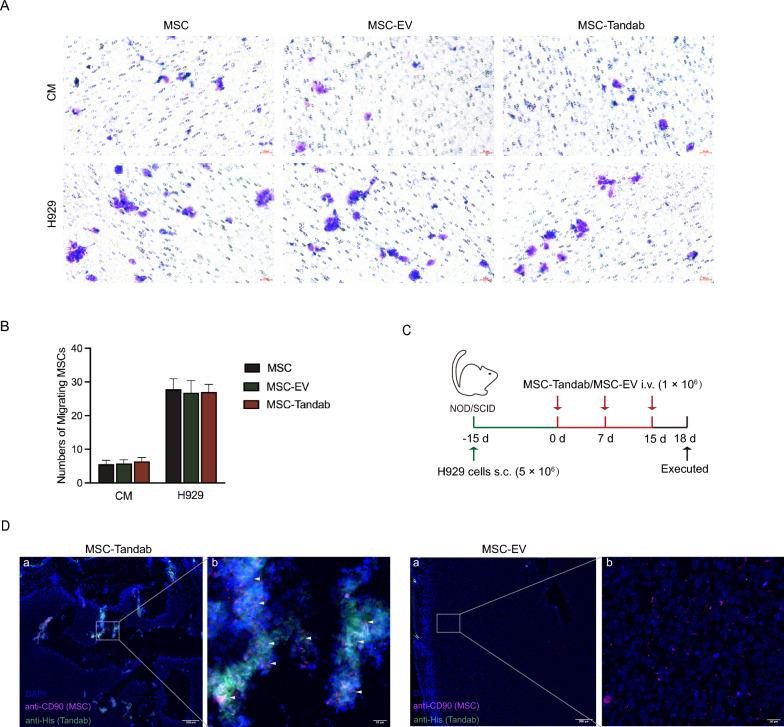 https://cdn.ncbi.nlm.nih.gov/pmc/blobs/6330/11823243/194e878f60d5/13287_2025_4212_Fig3_HTML.jpg